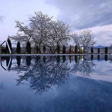 Soare-N Maramures Budeşti Esterno foto
